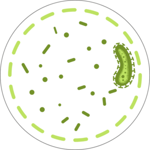 scarygerm-1